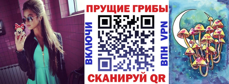 Галлюциногенные грибы мицелий Дзержинский