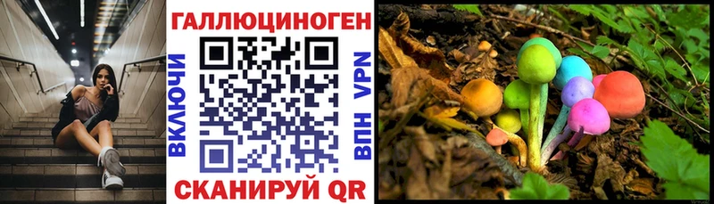 Псилоцибиновые грибы Psilocybine cubensis  кракен маркетплейс  маркетплейс телеграм  продажа наркотиков  Дзержинский 